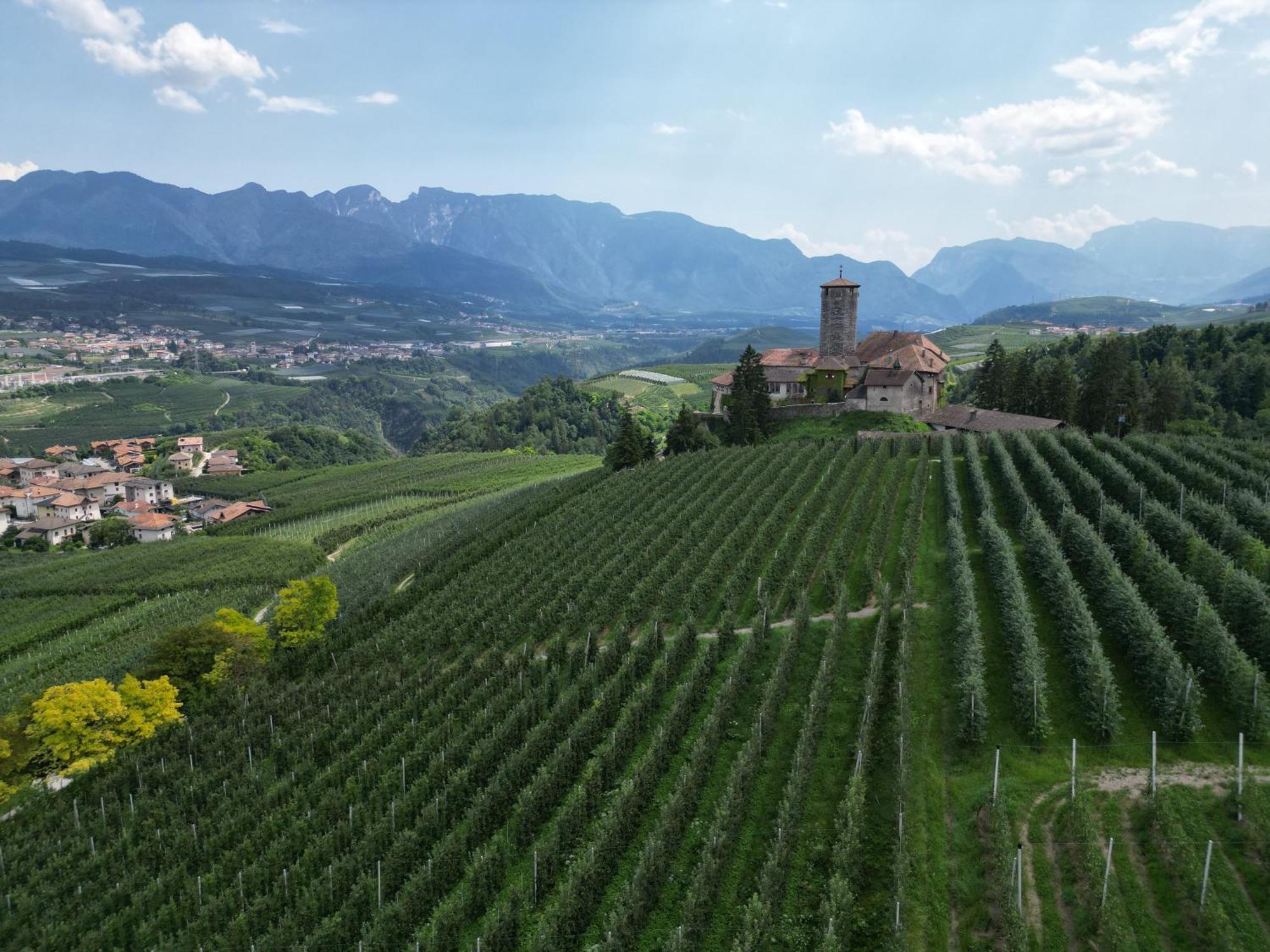Maso Valer - Agritur Apartman Tassullo Kültér fotó