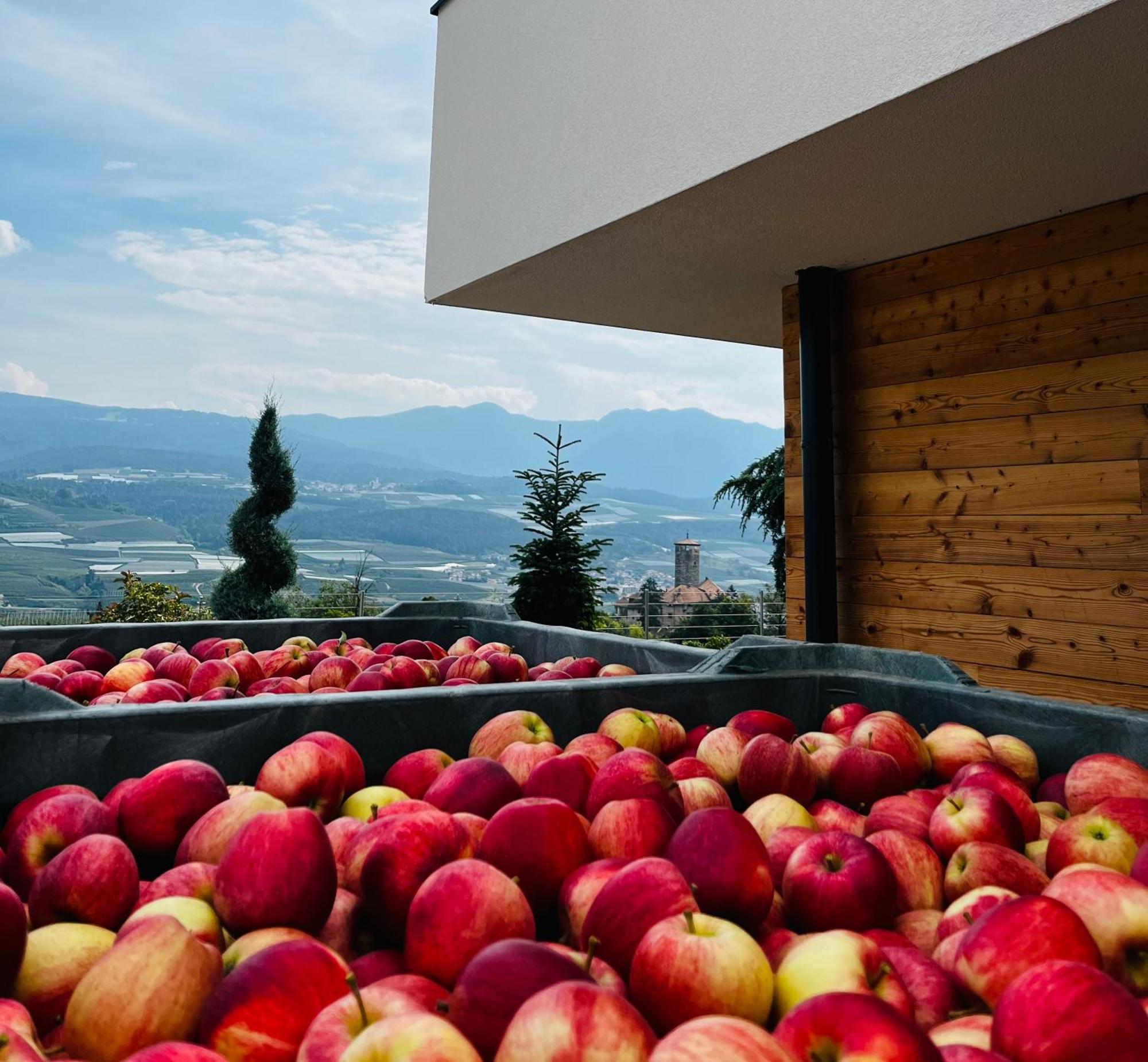 Maso Valer - Agritur Apartman Tassullo Kültér fotó