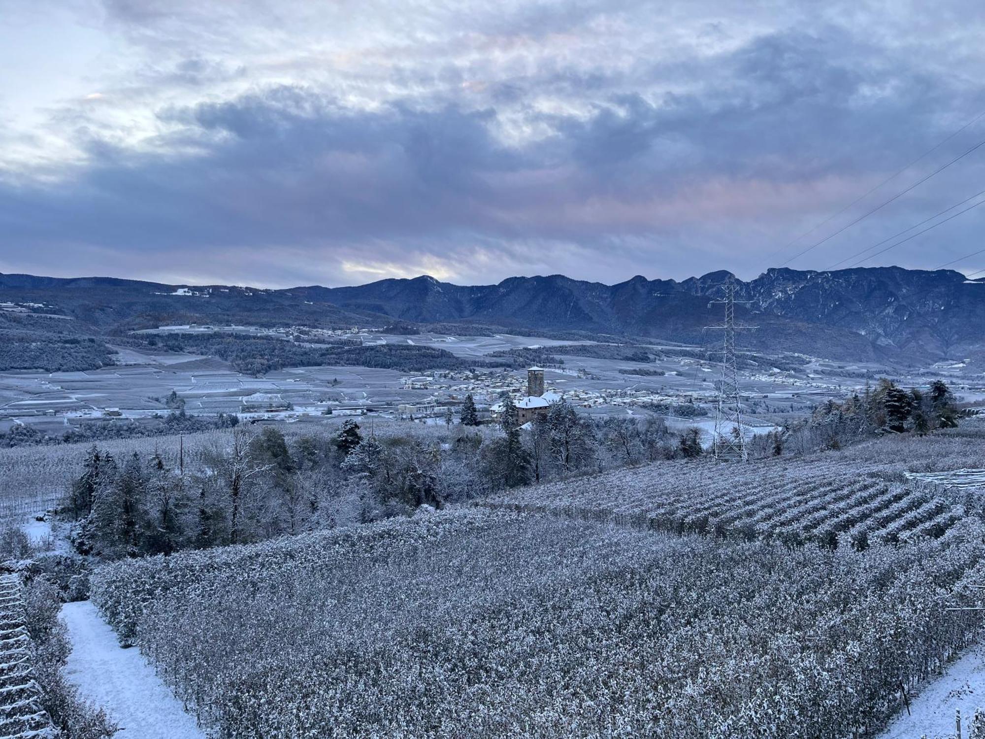 Maso Valer - Agritur Apartman Tassullo Kültér fotó